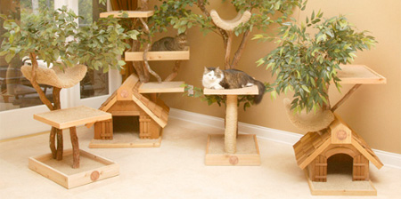 cattreehouse01.jpg