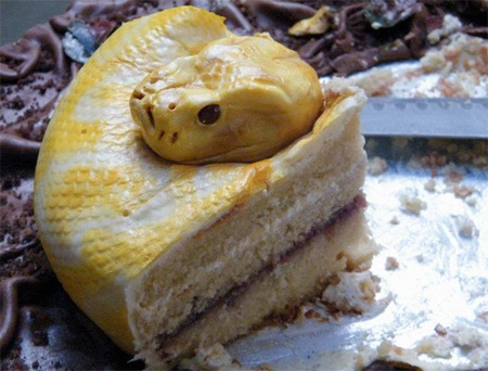Realistic Snake Cake by Francesca Pitcher