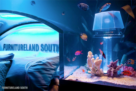 Aquarium Bed Frame