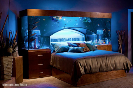 Tanked Aquarium Bed