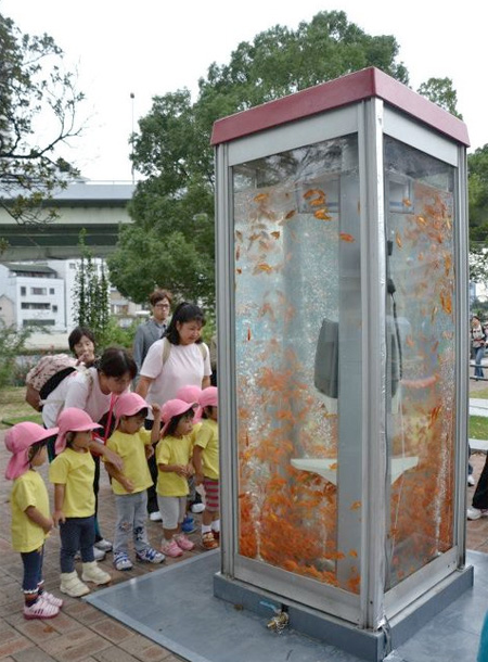 Telephone Booth Aquariums