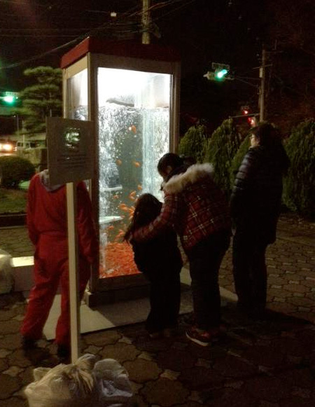 Telephone Booth Aquarium