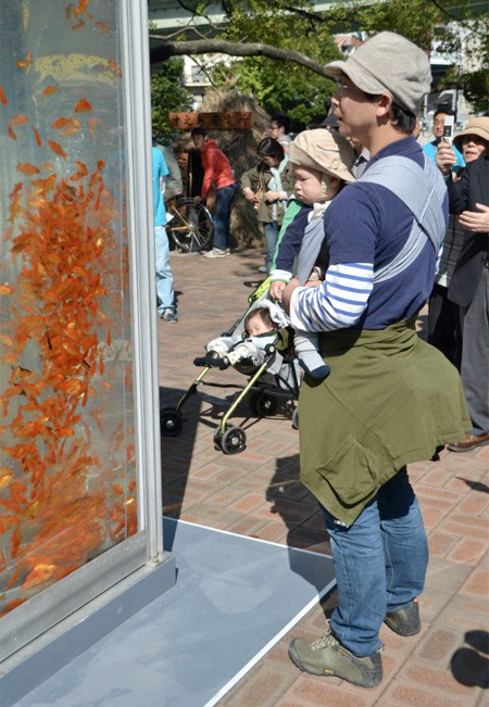 Phone Booth Aquariums in Japan