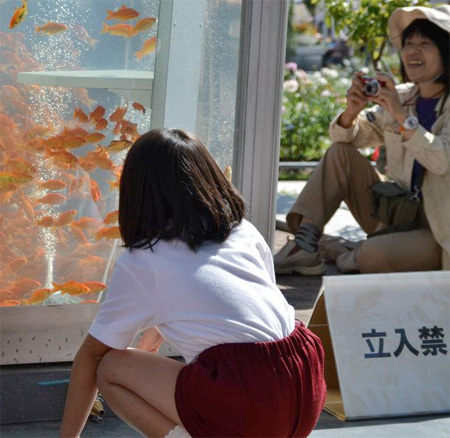 Telephone Booth Aquariums in Japan