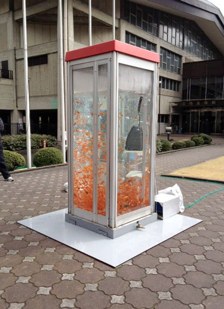Kingyobu Telephone Booth Aquarium