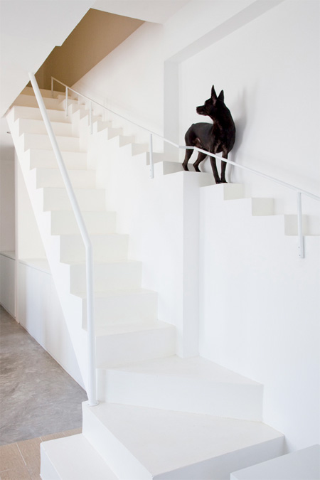 Staircase for Pets