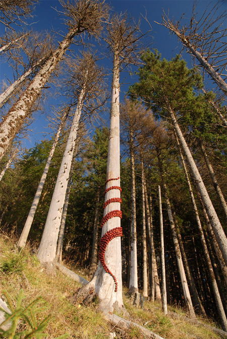 Tree Art by Sylvain Meyer