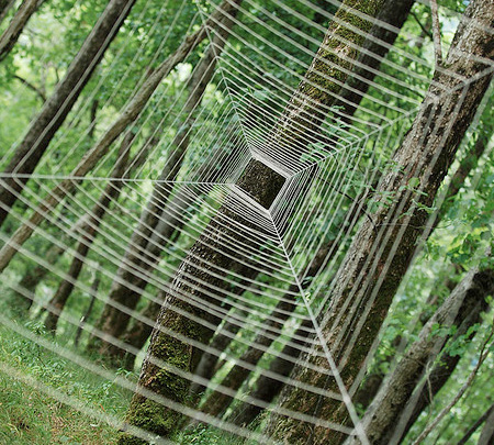 Spider Web Art