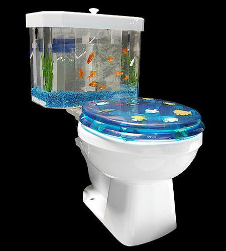 coolest fish tank accessories - cool fish aquariums Duck Duck Gray 