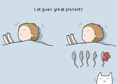 Advantages of Having a Cat