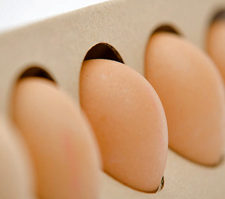 Otilia Erdelyi Egg Packaging
