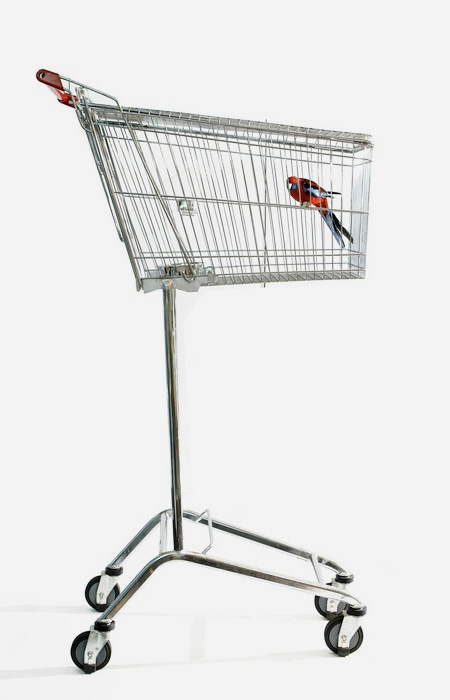 Shopping Cart Bird Cage