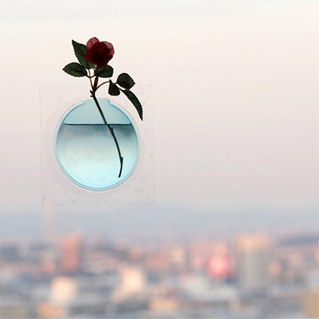 Transparent Vase