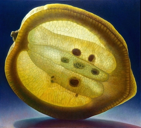 Realistic Fruit Painting