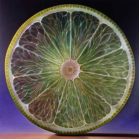 Transparent Fruit Painting