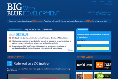 Blue CSS Website Designs 17