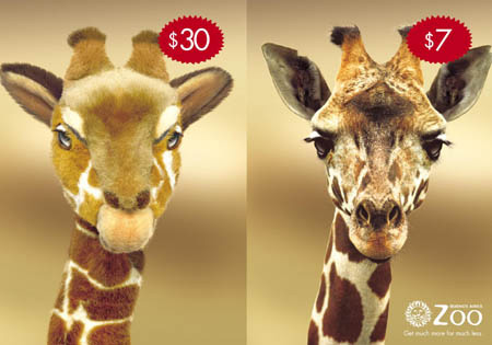 Brilliant Buenos Aires Zoo Ads 3