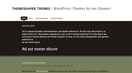 High Quality Free WordPress Themes 20