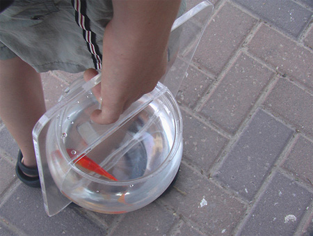 Portable Fishbowl by Michal Shabtiali 6