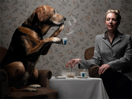 Creative Photography by Romain Laurent 18