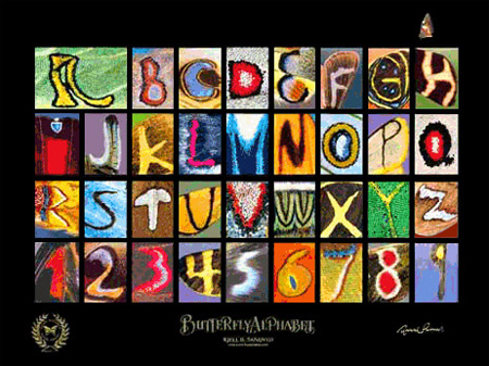 Butterfly Alphabet