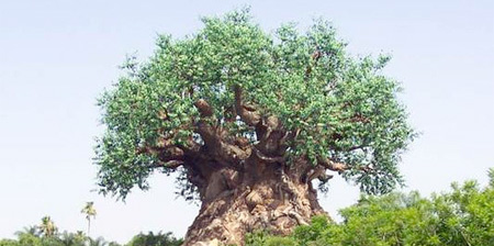 Tree of Life