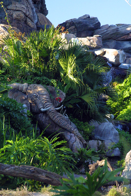 The Tree of Life at Disneys Animal Kingdom 15