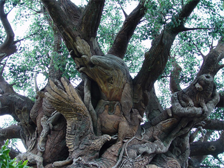 The Tree of Life at Disneys Animal Kingdom 17