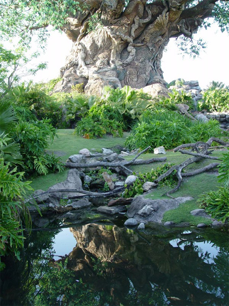 The Tree of Life at Disneys Animal Kingdom 18