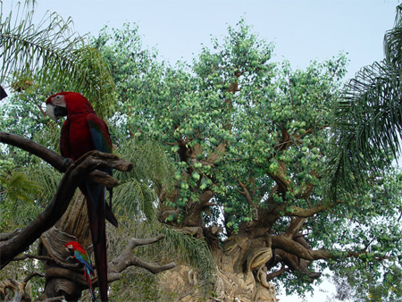 The Tree of Life at Disneys Animal Kingdom 19