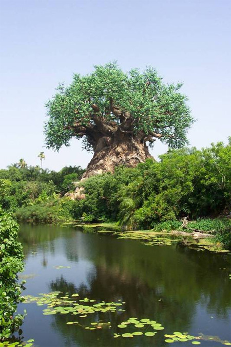 The Tree of Life at Disneys Animal Kingdom 21