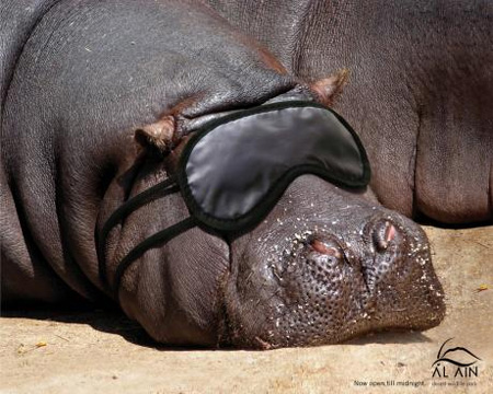 Al Ain Desert Wildlife Park Advertisement