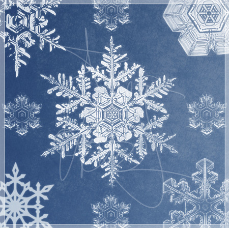 Snowflake Photoshop Brushes