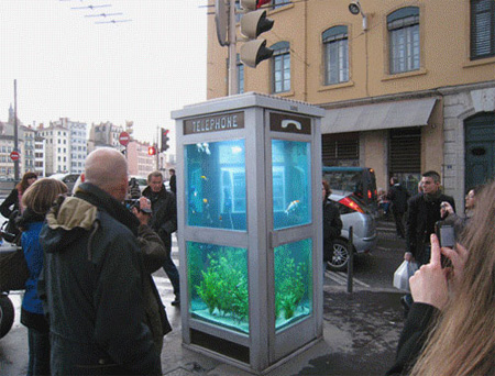 Aquarium Telephone Booth in France 3