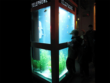 Aquarium Telephone Booth in France 4