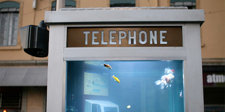 Aquarium Telephone Booth