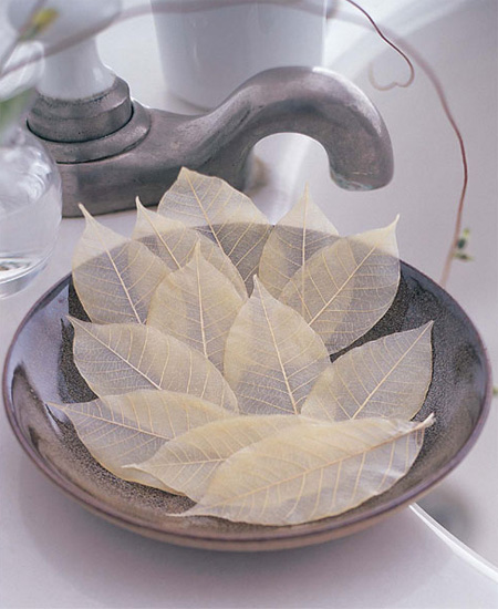 Soap Leaves