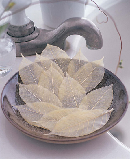 Soap Leaves 2