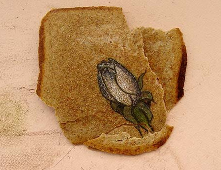 Illustrated Bread by Ximena Escobar 10