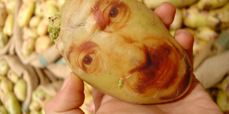 Potato Portraits