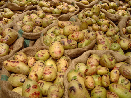 Potato Portraits by Ginou Choueiri 2