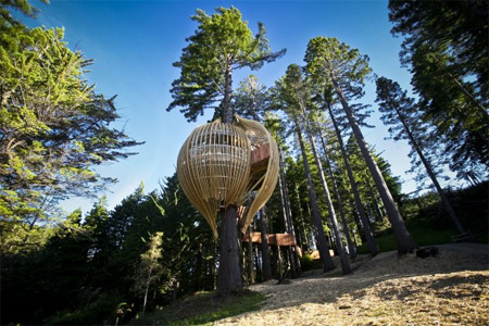 Treehouse Restaurant in New Zealand