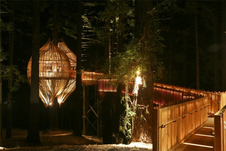 Treehouse Restaurant