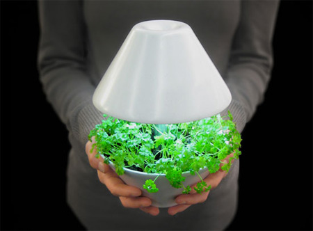 LED Plant Pot