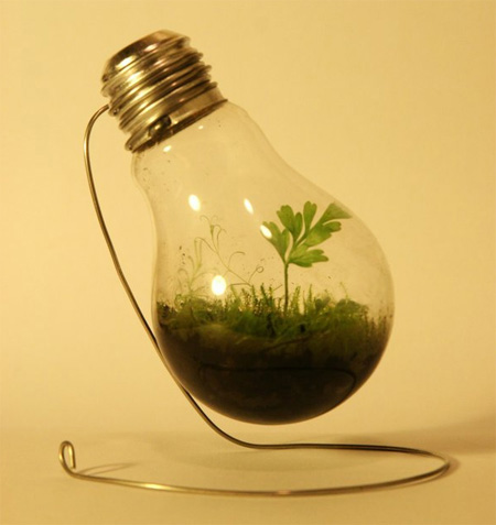 Light Bulb Plant Pot