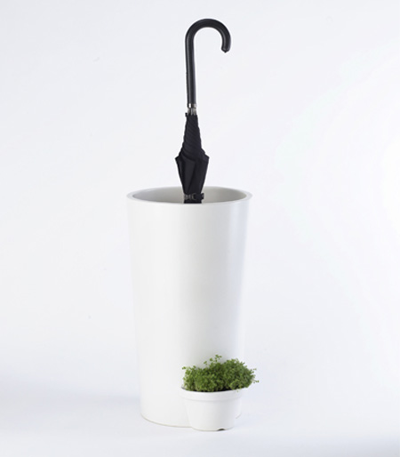 Umbrella Plant Pot