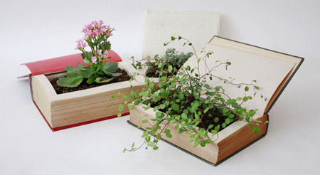 Book Plant Pot