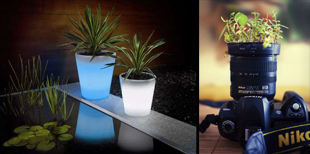 Modern and Creative Plant Pot Designs