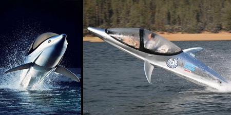 Dolphin Inspired Personal Submarines