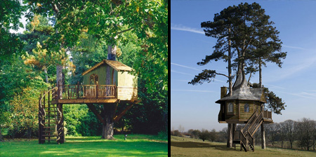 Beautiful Amazon Tree Houses